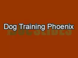 Dog Training Phoenix