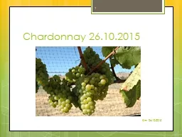 Chardonnay 26.10.2015