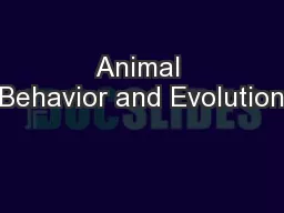 Animal Behavior and Evolution