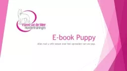E-book Puppy