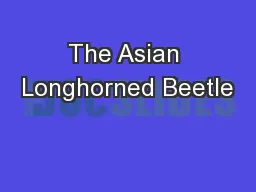 The Asian Longhorned Beetle