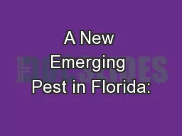 A New Emerging Pest in Florida: