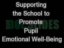 Supporting the School to Promote Pupil Emotional Well-Being