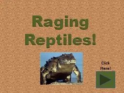 Raging Reptiles!