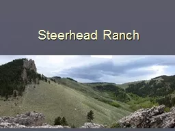 Steerhead Ranch