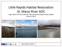 Little Rapids Habitat Restoration