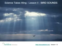 Science Takes Wing - Lesson