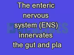 The enteric nervous system (ENS) innervates the gut and pla