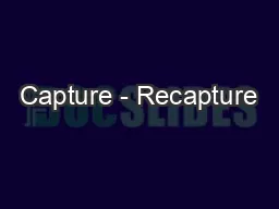 Capture - Recapture