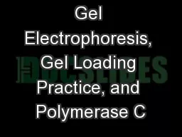 Gel Electrophoresis, Gel Loading Practice, and Polymerase C