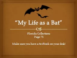 “My Life as a Bat”