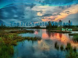 The Freshwater Wetland
