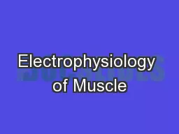 Electrophysiology of Muscle