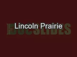 Lincoln Prairie