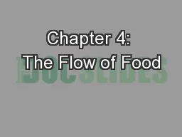 Chapter 4: The Flow of Food