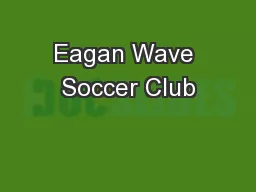 Eagan Wave Soccer Club