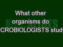 What other organisms do MICROBIOLOGISTS study?