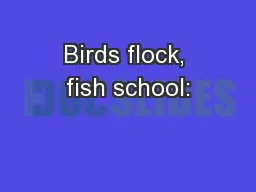 Birds flock, fish school: