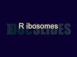 R ibosomes