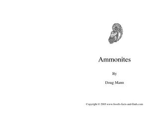 Ammonites By Doug Mann Copyright   www