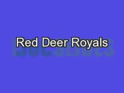 Red Deer Royals