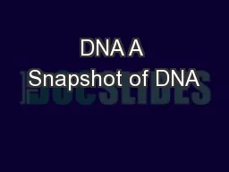 DNA A Snapshot of DNA