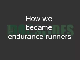 How we became endurance runners