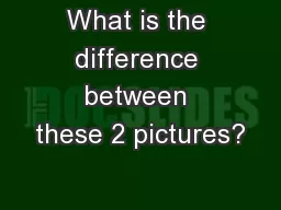 What is the difference between these 2 pictures?