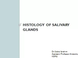 HISTOLOGY OF SALIVARY GLANDS