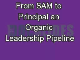 From SAM to Principal an Organic Leadership Pipeline