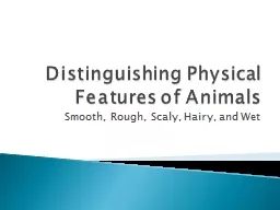 Distinguishing Physical Features of Animals