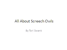All About Screech Owls