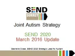 Joint Autism Strategy
