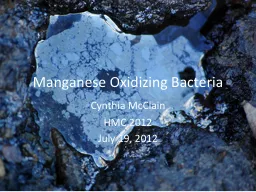 Manganese Oxidizing Bacteria