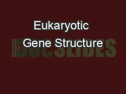 Eukaryotic Gene Structure