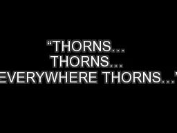 “THORNS… THORNS… EVERYWHERE THORNS…”