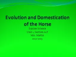 Evolution and Domestication of the Horse