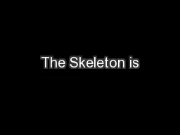 The Skeleton is