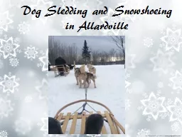 Dog Sledding and Snowshoeing