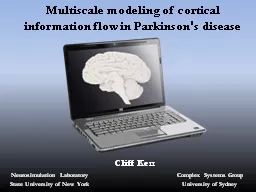 Multiscale modeling of cortical information flow in Parkins