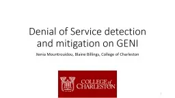 Denial of Service detection and mitigation on GENI