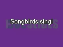 Songbirds sing!