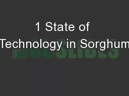1 State of Technology in Sorghum