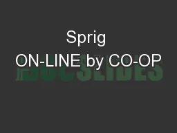 Sprig ON-LINE by CO-OP