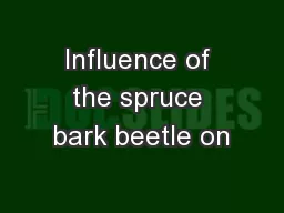 Influence of the spruce bark beetle on