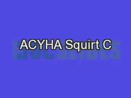 ACYHA Squirt C