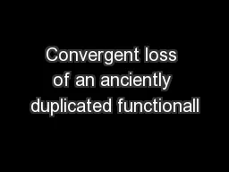 Convergent loss of an anciently duplicated functionall