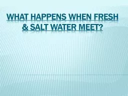 What happens when fresh & salt water meet?