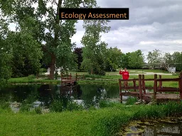 Ecology Assessment