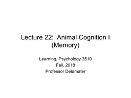 Lecture 22:  Animal Cognition I (Memory)